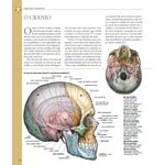 atlas ilustrado de anatomia atlas ilustrado de anatomia