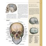 atlas ilustrado de anatomia atlas ilustrado de anatomia