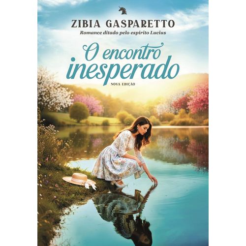 o encontro inesperado - nova edição