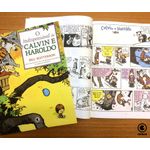 o indispensável de calvin e haroldo
