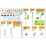 mundo-encantado-flores-diversos-modelos