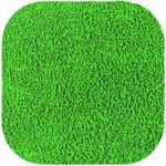 eva 40x48cm atoalhado verde bandeira