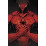 o-espetacular-homem-aranha--2025--vol-05