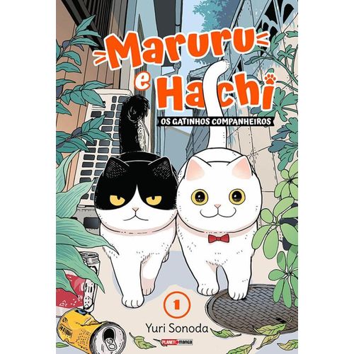 maruru e hachi: os gatinhos companheiros 01