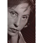 clarice lispector - todos os contos - edição revista e ampliada