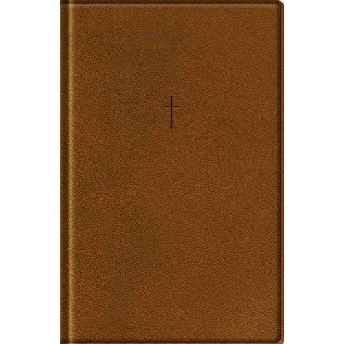 biblia-naa---letra-grande---marrom