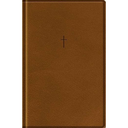 biblia-naa---letra-grande---marrom biblia-naa---letra-grande---marrom