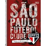 caderno universitário 10x1 são paulo