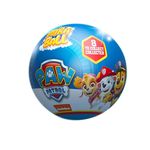 miniatura surpresa patrulha canina