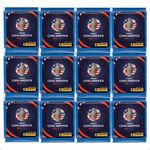 copa-america-2024---envelopes-soltos