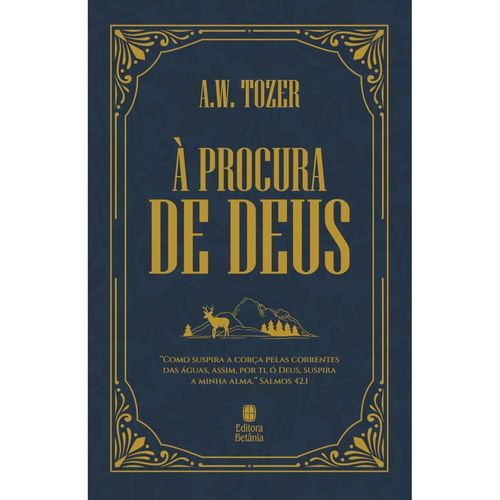 à procura de deus - capa dura