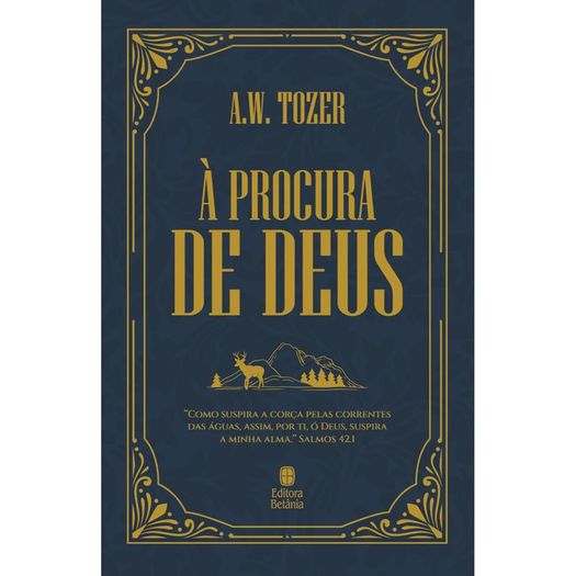 à procura de deus - capa dura