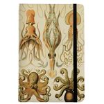 caderneta de anotações handbook capa dura polvos e lulas sem pauta