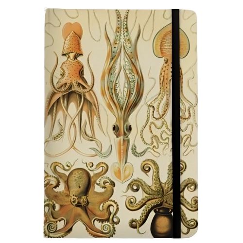 caderneta de anotações handbook capa dura polvos e lulas sem pauta