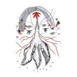 o casamento entre o céu e a terra