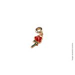 temporada de espinhos com brindes