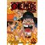 one piece a - novel 2