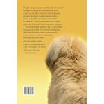 a cabeça do cachorro