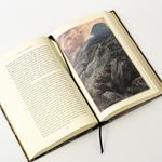 box trilogia o senhor dos anéis - edição com ilustrações de alan lee