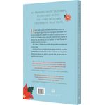 um romance espirituoso