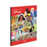 disney---procure-e-ache---disney