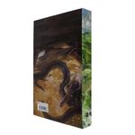 o-hobbit---edicao-de-luxo