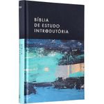biblia-de-estudo-introdutoria-nvi---capa-azul-lago