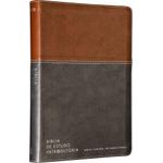 biblia-de-estudo-introdutoria-nvi---couro-soft-marrom-e-cinza-chumbo