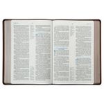 biblia-acf---couro-soft-mogno---letra-grande