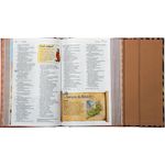 biblia-aventura-para-criancas-nvi---tigre