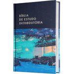 biblia-de-estudo-introdutoria-nvi---capa-azul-lago