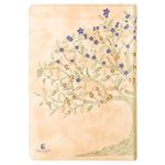 biblia-bilingue-nvi---portugues-ingles---couro-soft-bege