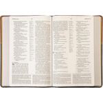 biblia-de-estudo-introdutoria-nvi---couro-soft-marrom-e-cinza-chumbo