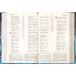 biblia-de-estudo-introdutoria-nvi---capa-azul-lago