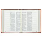 biblia-acf---capa-marrom