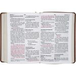 bíblia sagrada naa - letra supergigante - capa marrom claro