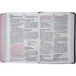 biblia-sagrada-naa---letra-supergigante---capa-azul-com-rosa