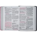 biblia-sagrada-naa---letra-supergigante---capa-azul-com-rosa