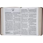 bíblia sagrada naa - letra supergigante - capa marrom claro