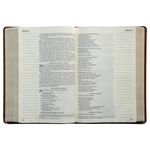 biblia-nvi---letra-grande---couro-soft---dois-tons-de-marrom