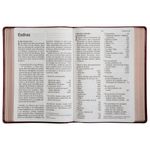 bíblia nvi - letra sênior - vinho