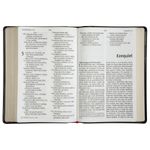 biblia-nvi---letra-senior---preto