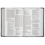 bíblia nvi - letra sênior - azul