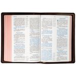 bíblia sagrada nvi premier collection - capa vinho