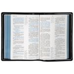 bíblia sagrada nvi premier collection - capa azul