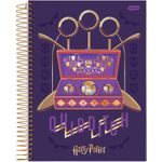 caderno universitário 10 matérias harry potter 200 folhas