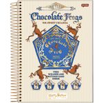 caderno universitário 10 matérias harry potter 200 folhas