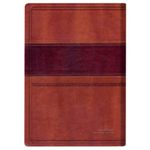 biblia-thompson---letra-grande---com-indice---marrom