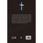 biblia-sagrada-nvi---neon-azul