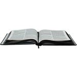 bíblia sagrada naa - capa lettering - preta